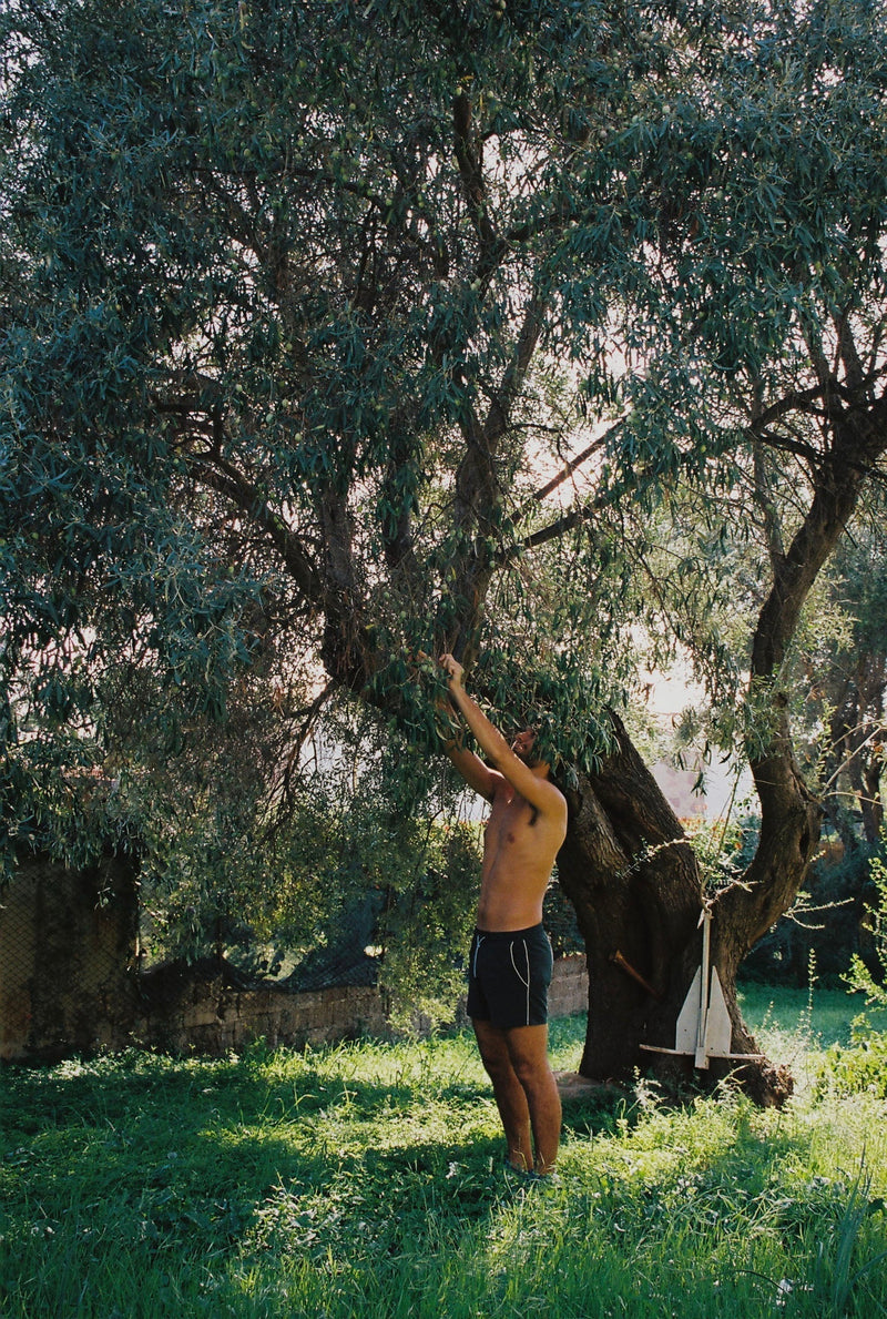 What's On Near Our Homes: A Year of Festivals in Southern Sardinia and on the Côte d'Amour