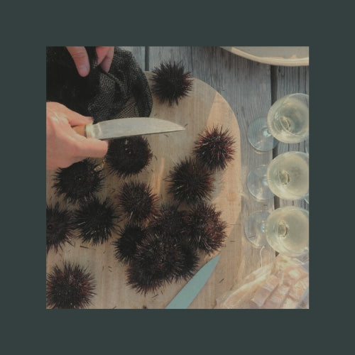 Freshly harvested sea urchins served at Il Polpo Nero, a coastal villa in South Sardinia, where guests can enjoy traditional Mediterranean seafood delicacies.