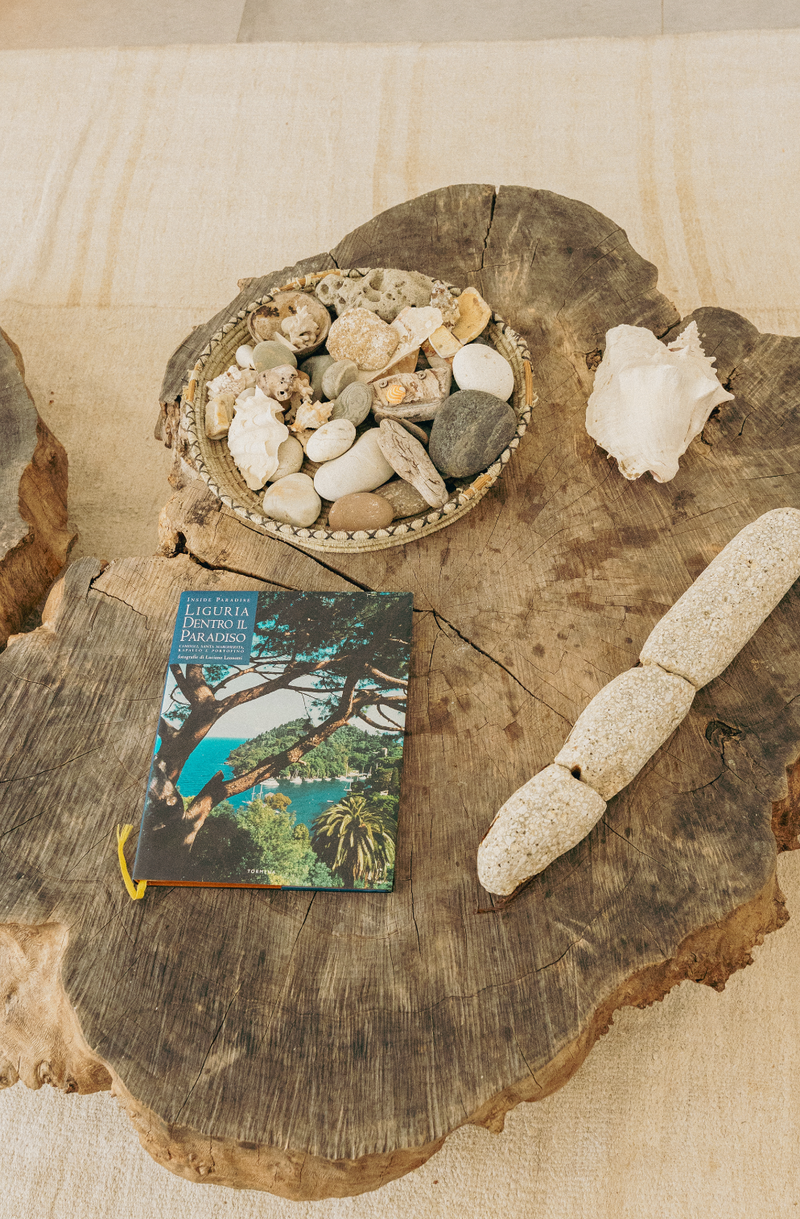 Decorative display with stones, shells, and a book on a wooden surface
