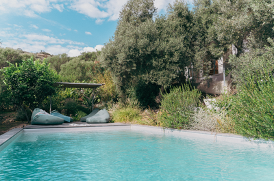 Pool area with lounge chairs and greenery under a blue sky