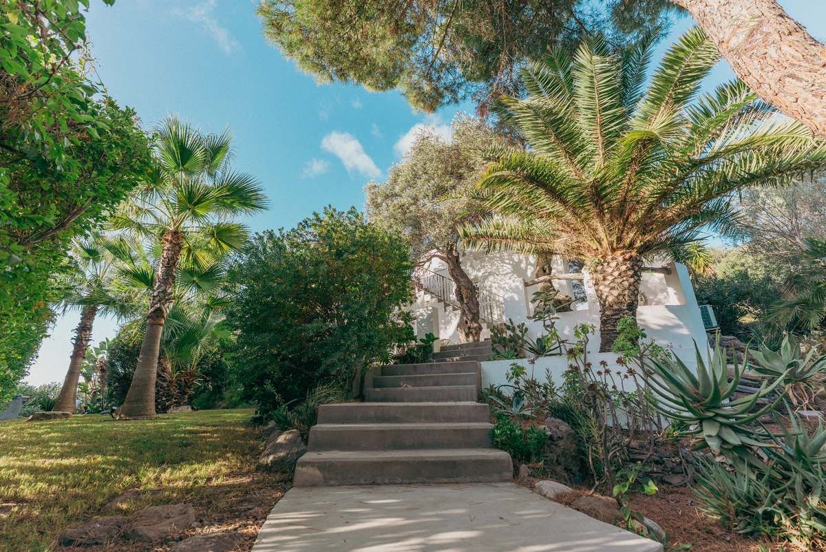 Stairway leading up to a white building with palm trees and greenery